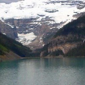 Meet your Posher, Terry